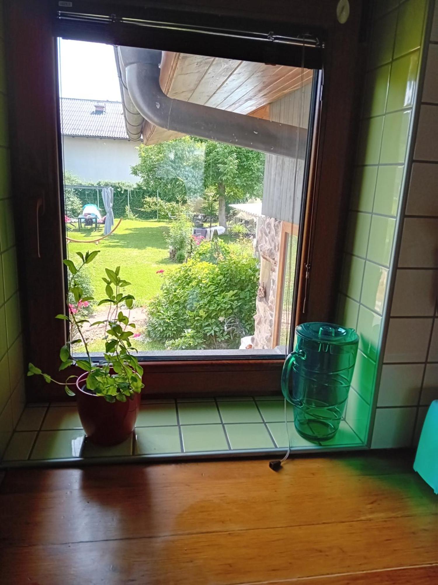 Apartment Baci For 4 Guests Ljubljana Exteriör bild